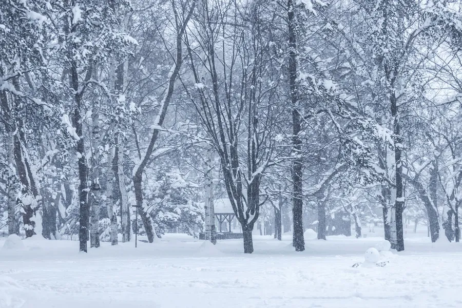 Winter pictures