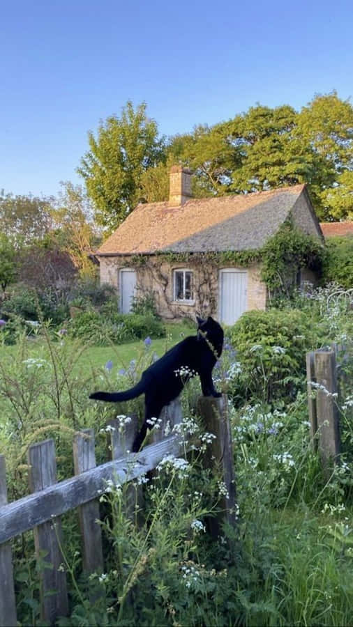 Kæret Cottage Sort Dog Hus Fotografi Billede Tapet