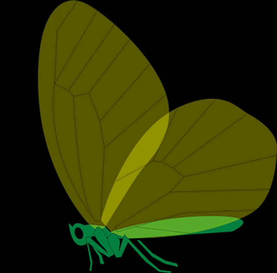 Green Butterfly Illustration