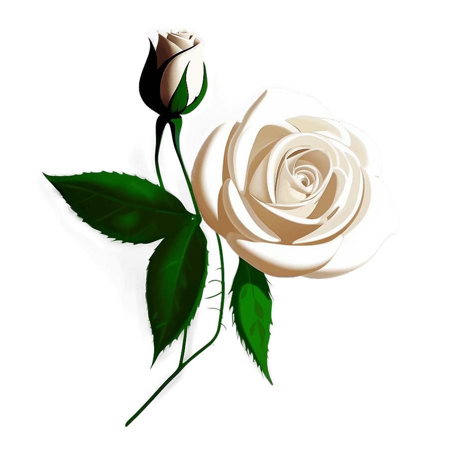 White Rose Sketch PNG jtx
