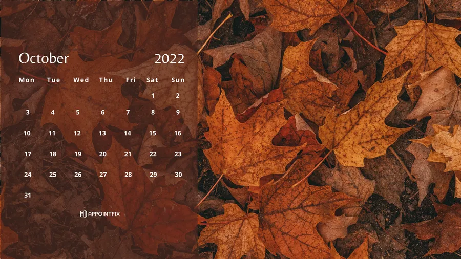 Fall Aesthetic Desktop