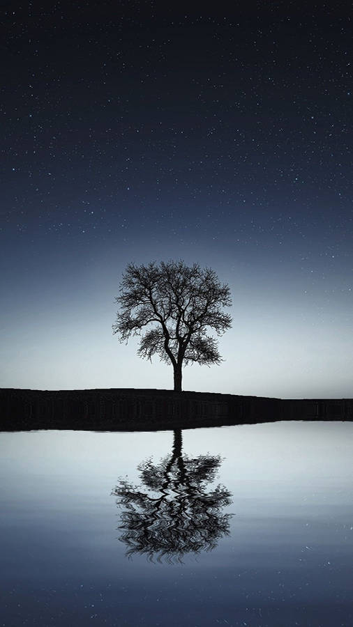 Download 4k Android Black Tree Wallpaper | Wallpapers.com