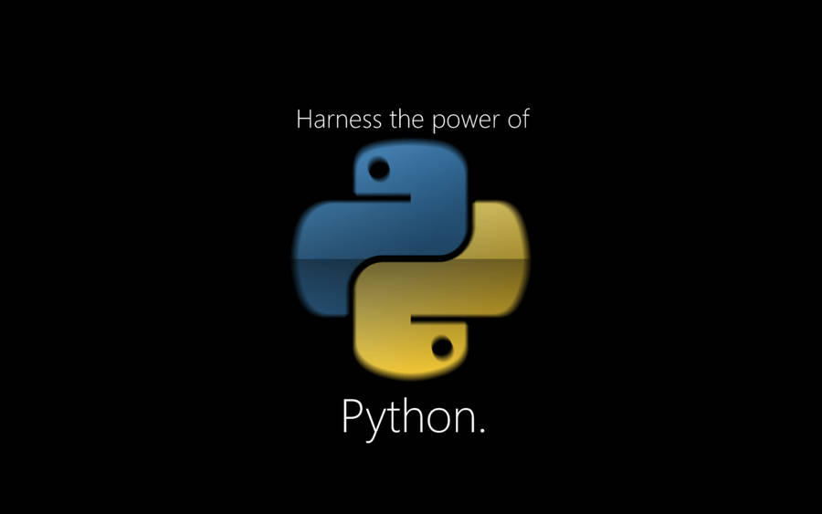 Download 4k Programming Python Logo Wallpaper | Wallpapers.com