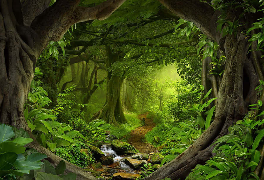 Fairy Forest Baggrund 1760 x 1200