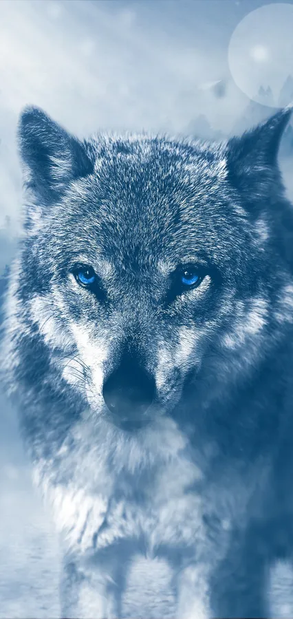 Wolf Iphone [wallpaper]