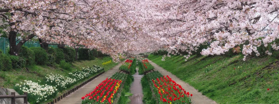 Spring Dual Screen