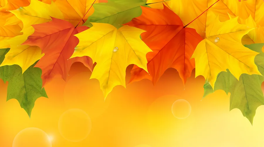 Simple Fall