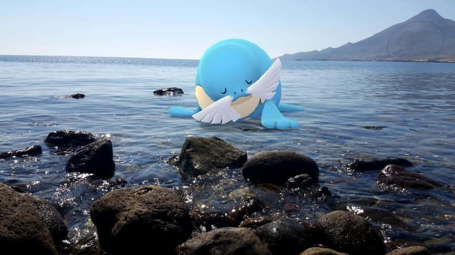 Sealeo in the Wild