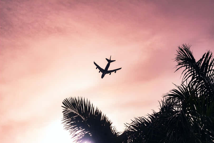 Fly Silhuett Mot Twilight Himmel