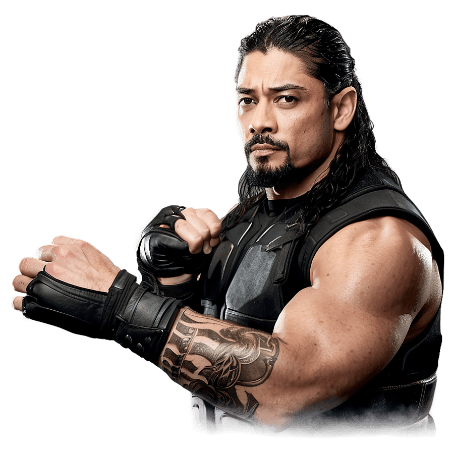 roman reigns 2022 d