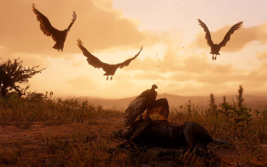 BestesHintergrundbild mit Aasgeiern, die sich an einem toten Hund bei Red Dead Redemption 2 laben.