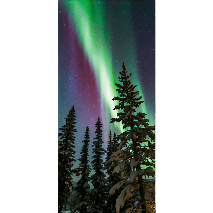 Northern Lights Through Trees PNG 86