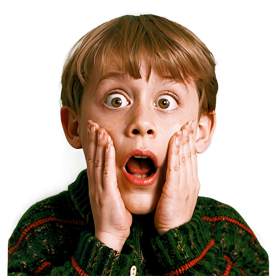 Home Alone 2 Lost in New York PNG 05232024