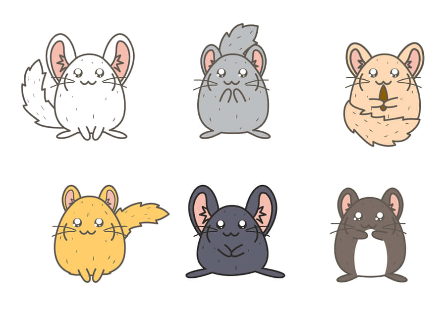 Niedlichesund flauschiges Chinchilla, das neugierig in die Kamera schaut
