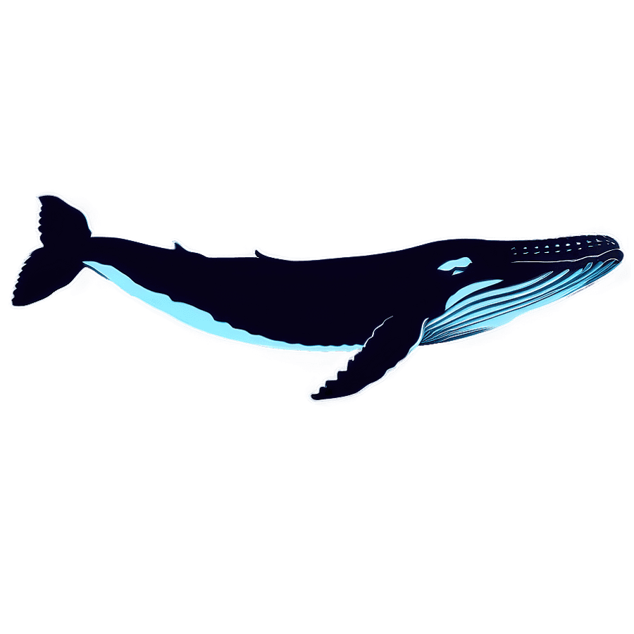 Humpback Whale Silhouette PNG faw17