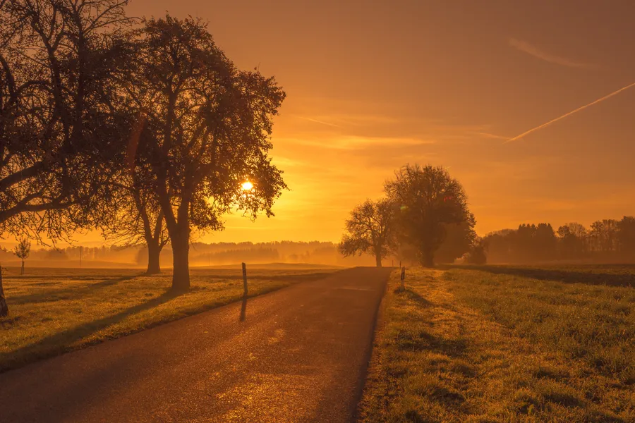 Cool Landscape