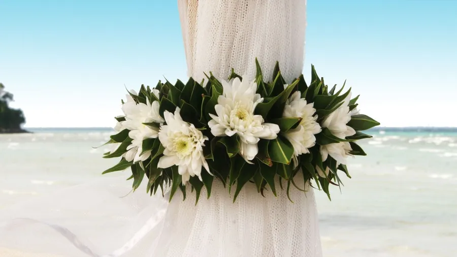 Wedding Background