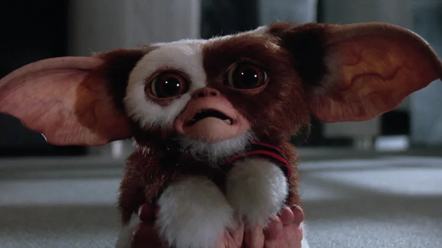 Gremlins Before Water Up Close Shot