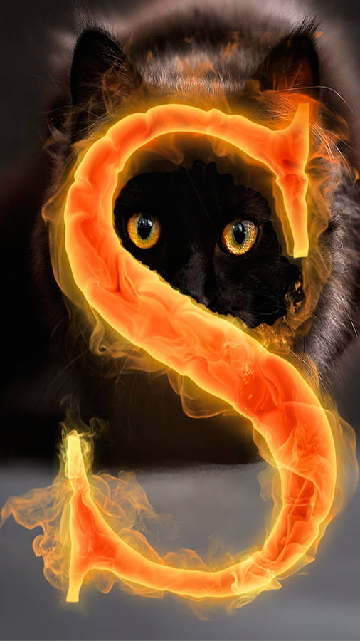 Lettera S Gatto nero