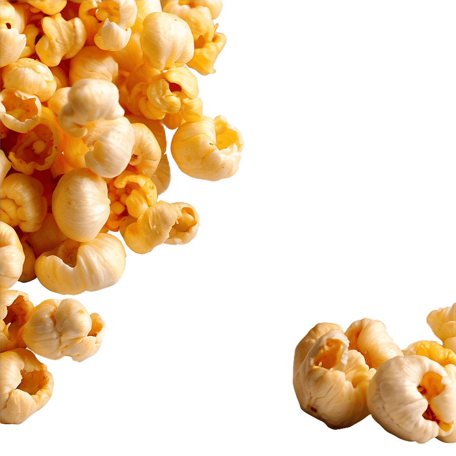Raw Popcorn Kernel PNG 06292024