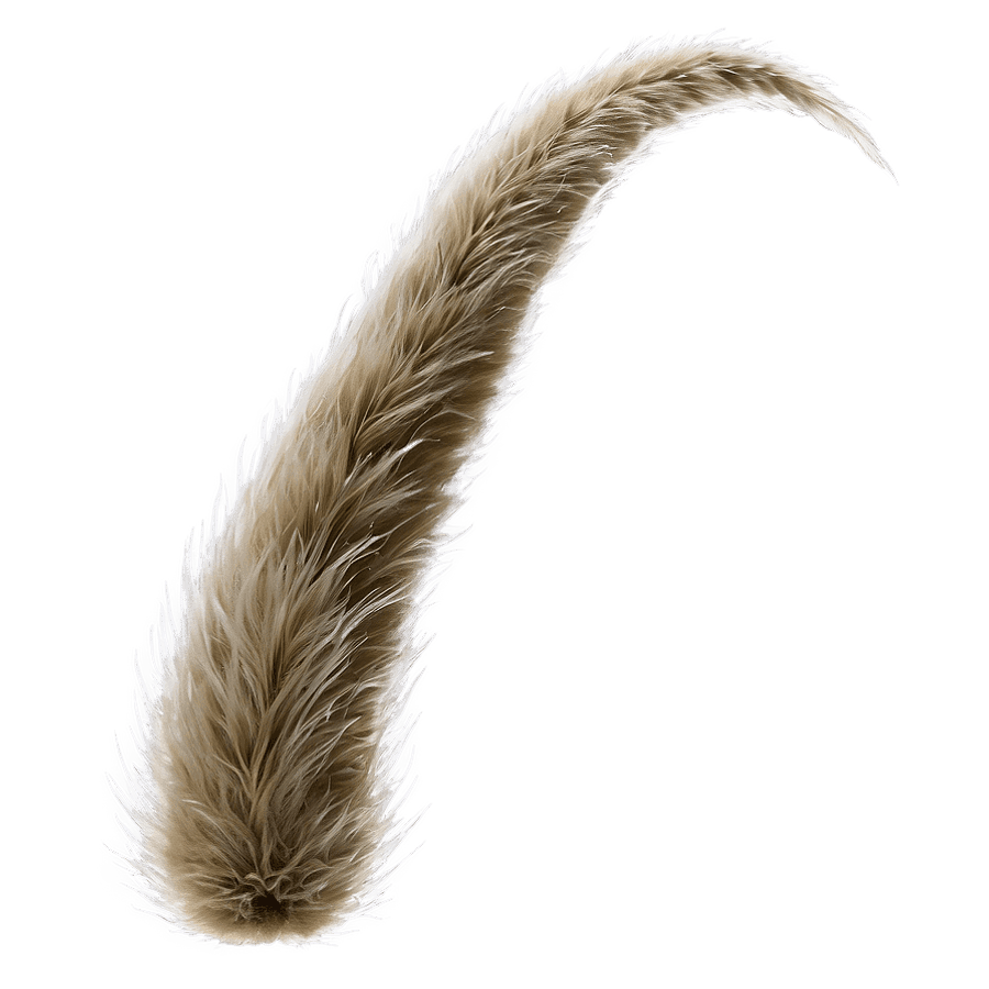 Bushy Cat Tail PNG 05262024