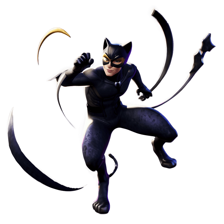 cat noir c
