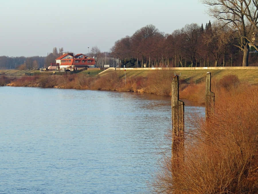 Cenário da Margem do Rio Venlo