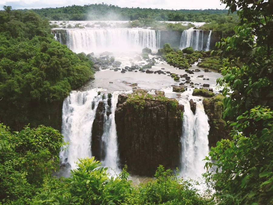 Cade In Amazonas Brasile