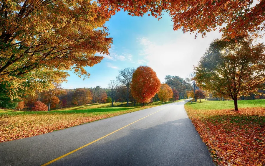 Country Background