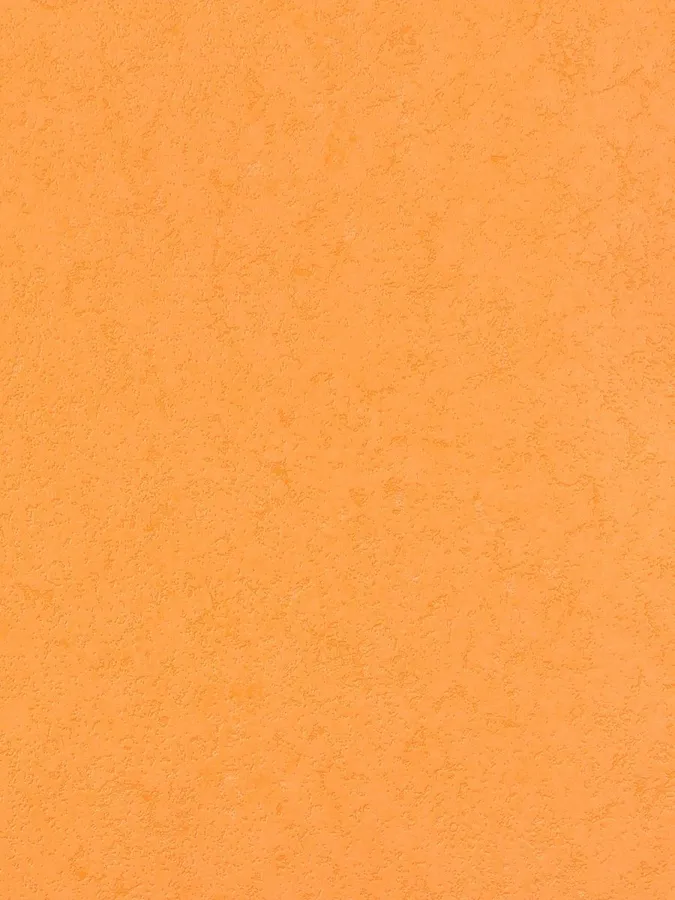 Plain Orange