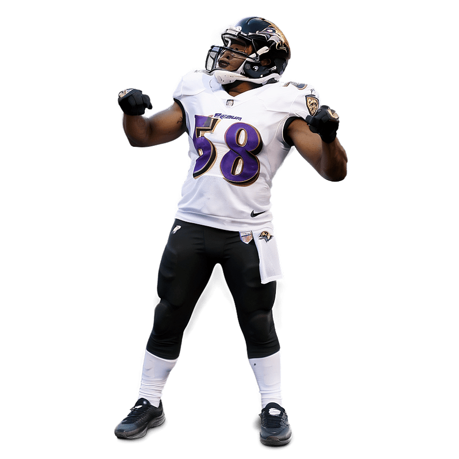 Baltimore Ravens Mascot Dance PNG 97