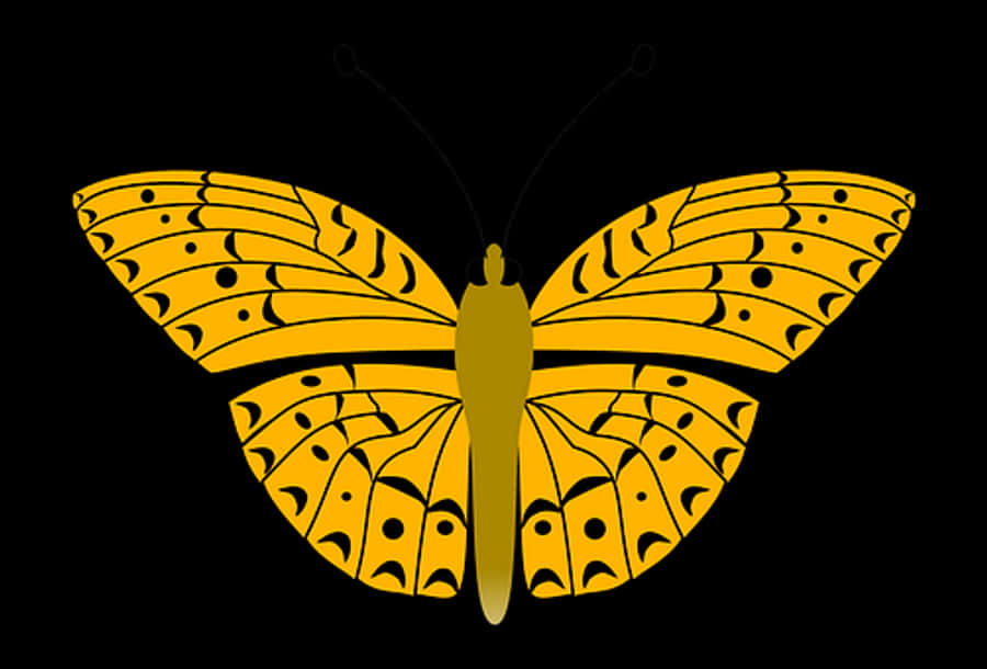 Yellow Black Butterfly Illustration