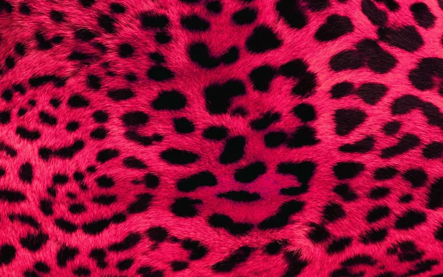 Bright Pink Background
