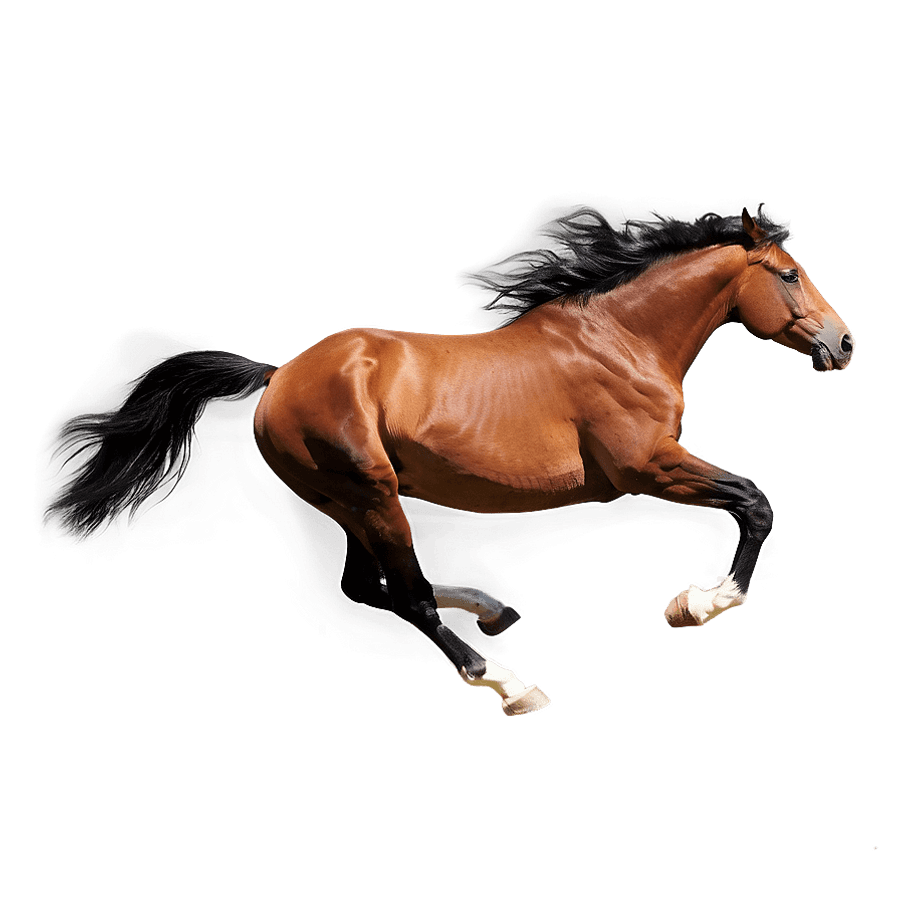 Free Spirit Horse Running PNG 06292024