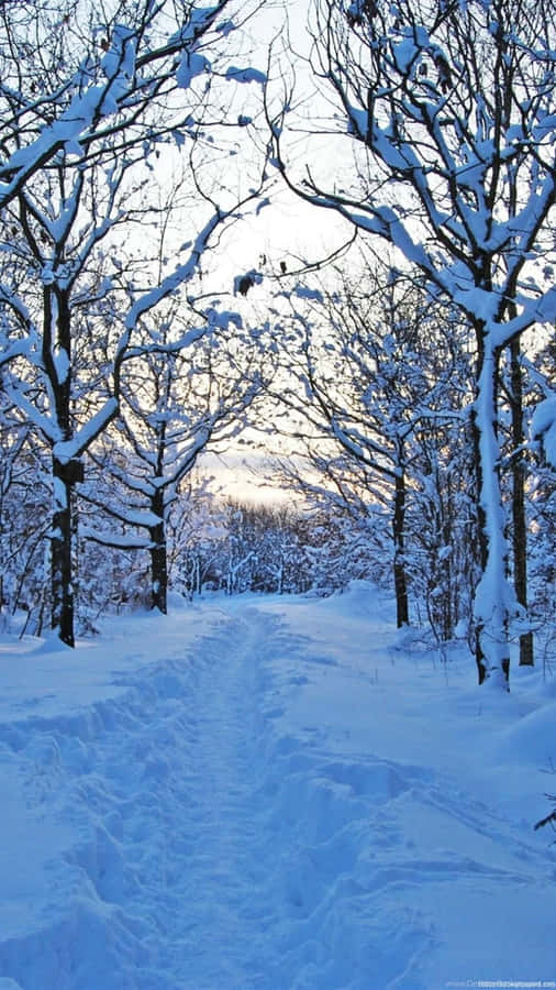 SchönerSchneefall im Winter