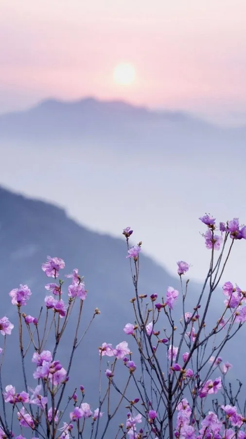 Tiny flowers aesthetic  wallpaper 