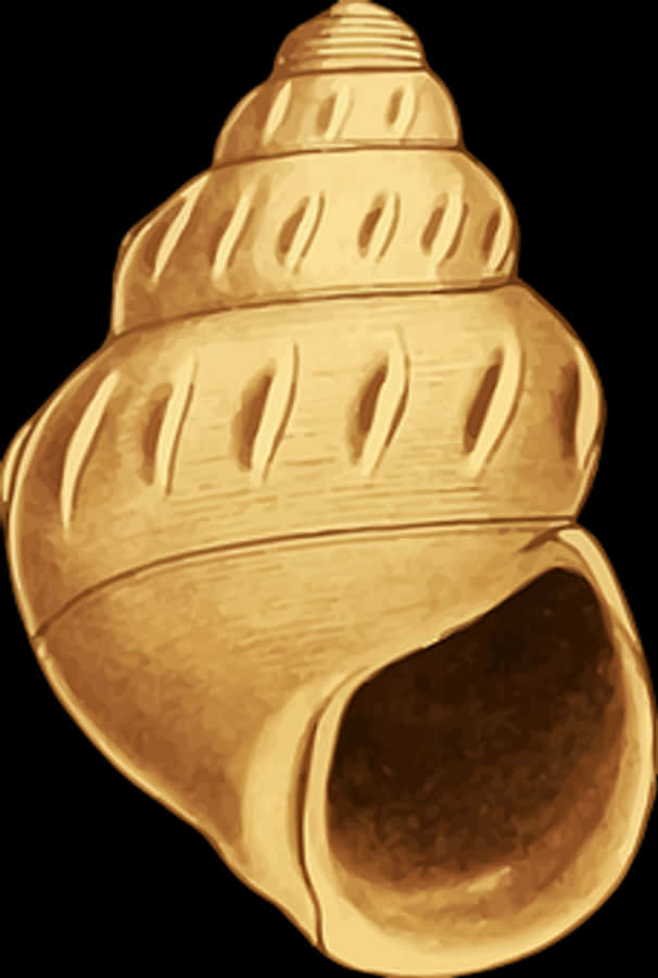 Golden Seashell Illustration
