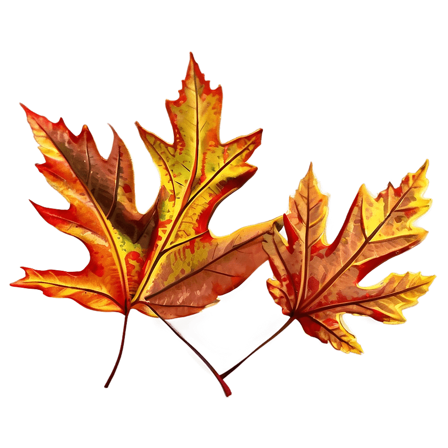 Abstract Blurry Fallen Leaves PNG osc