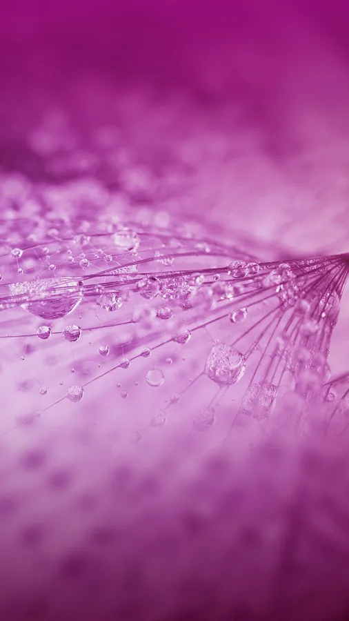 Cool Pink Background