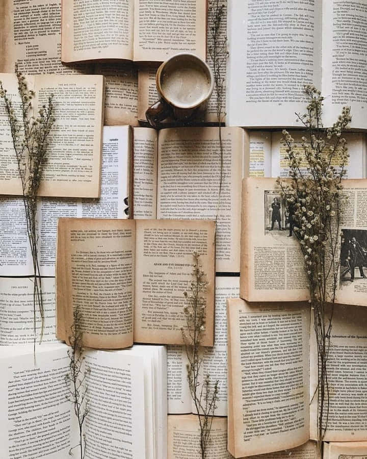 "Exploreo mundo dos Livros Estéticos"