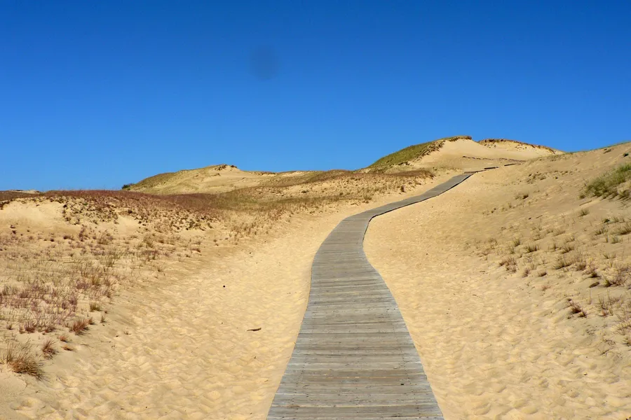 Dune Background