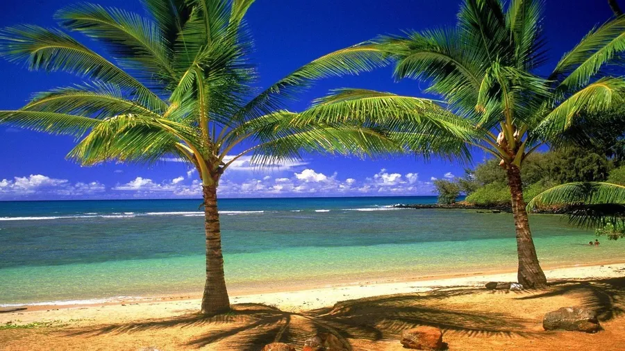 Palm Beach