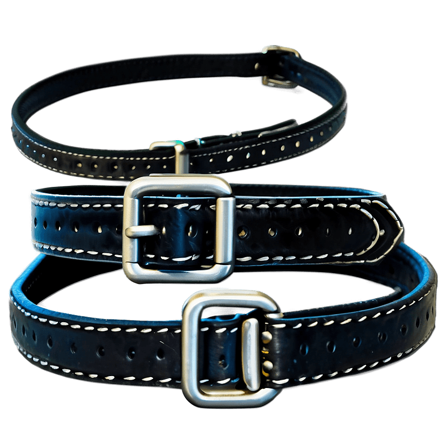 Pet Collar PNG 70