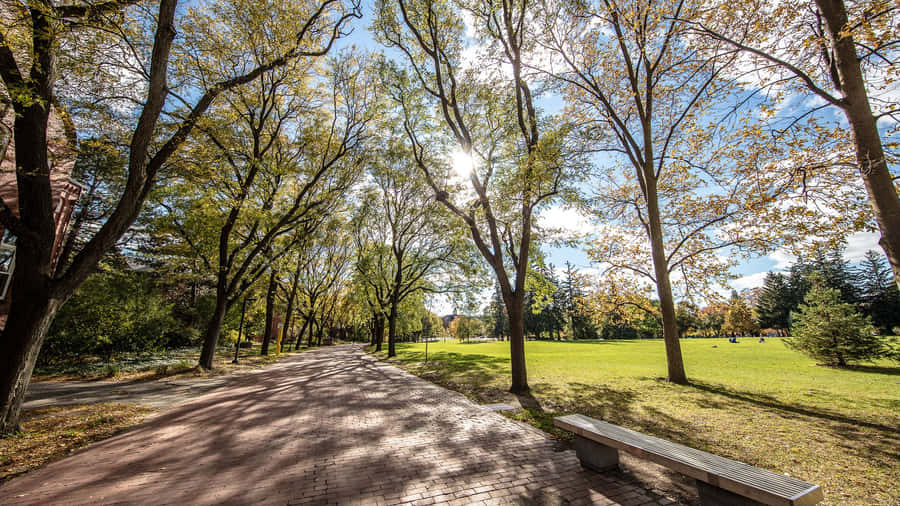 Caminho do Parque Ensolarado Guelph