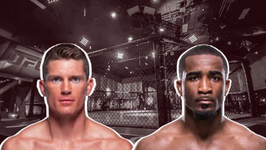 Bildunterschrift: Geoff Neal - Fierce Competitor der UFC