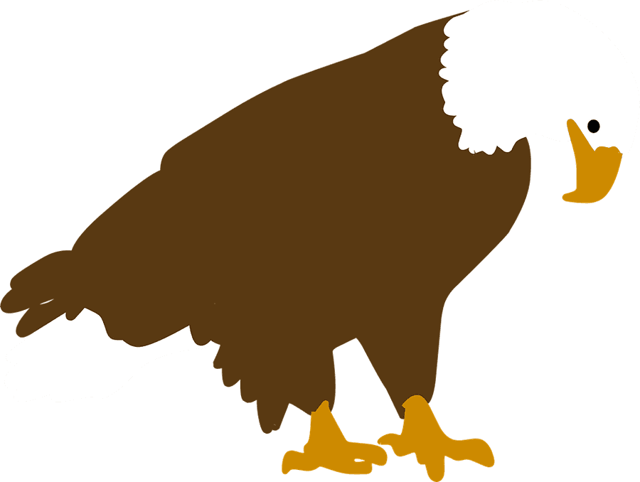 Bald Eagle Illustration
