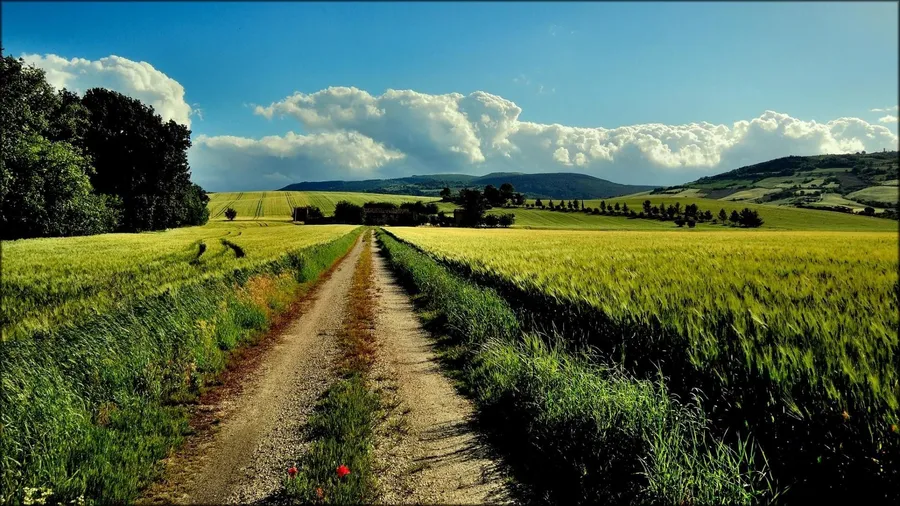 Farm Background