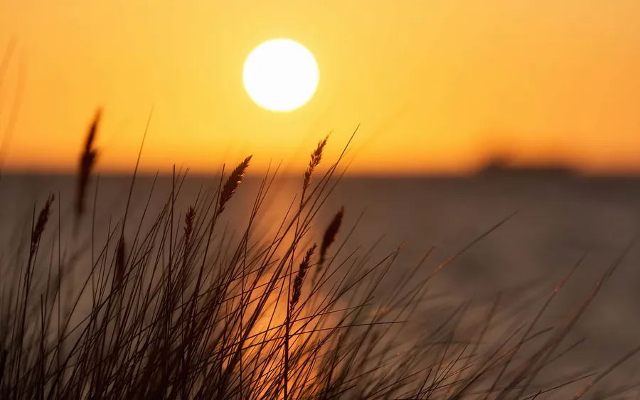 Sun Background