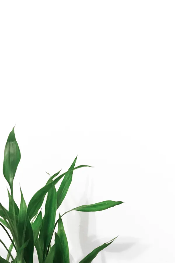Plant Background