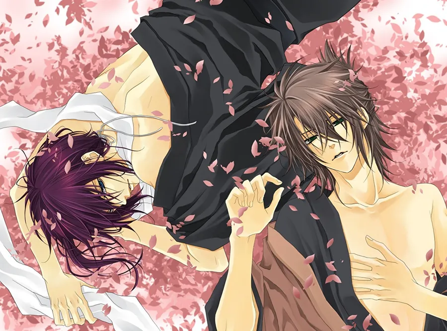 Bl Anime